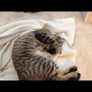 Meet your Posher, Kim